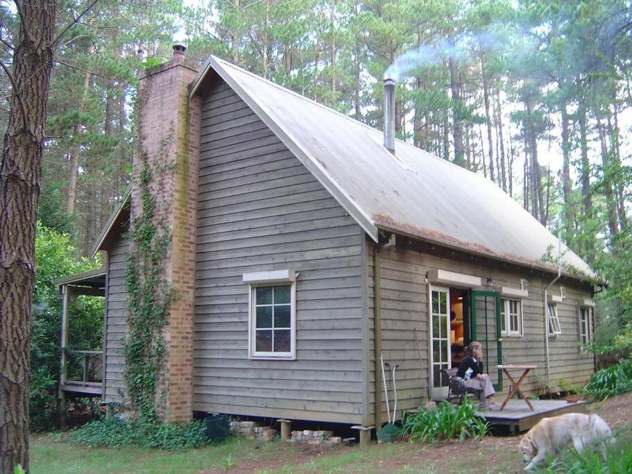 Holly Lodge Medlow Bath Exterior foto