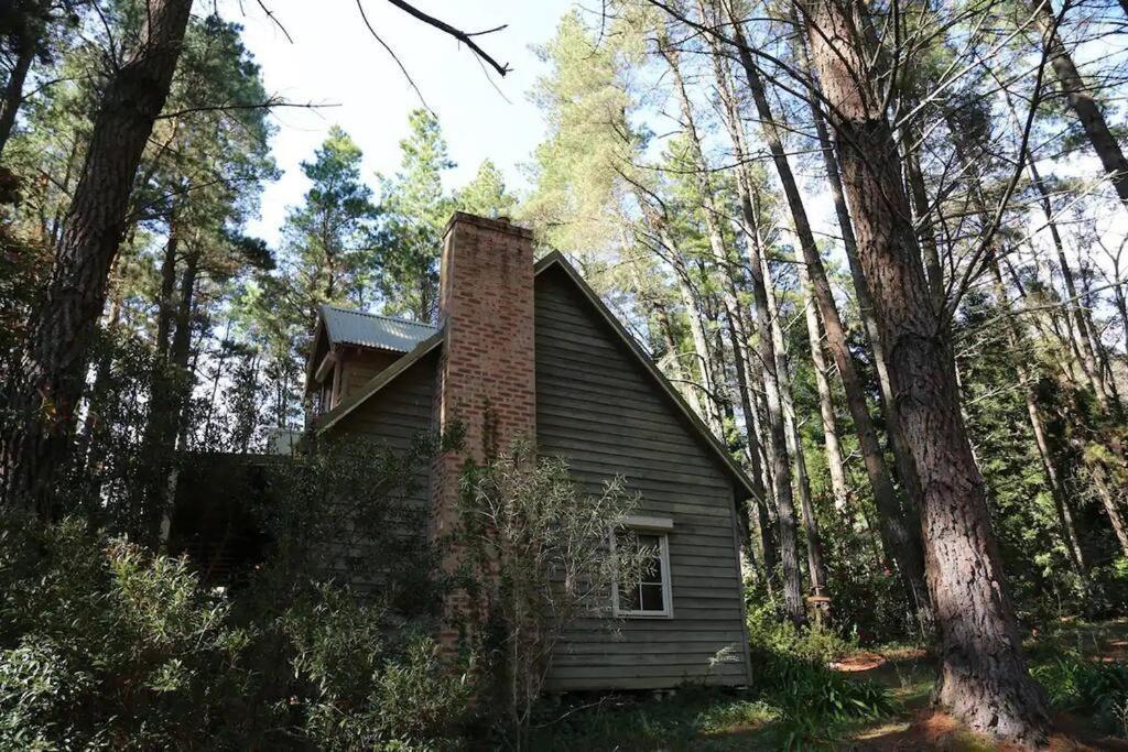 Holly Lodge Medlow Bath Exterior foto