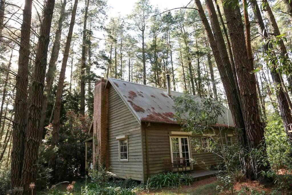 Holly Lodge Medlow Bath Exterior foto