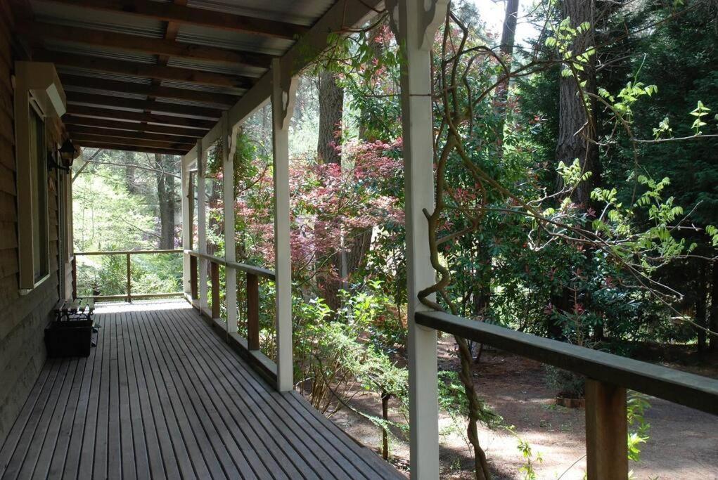 Holly Lodge Medlow Bath Exterior foto